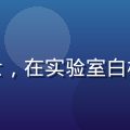 就去干首席研究员林思远，神经科学博士，在实验室白板前讲解行动力神经机制，表情严谨专注